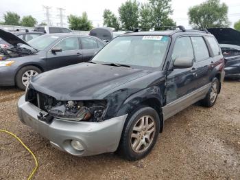  Salvage Subaru Forester