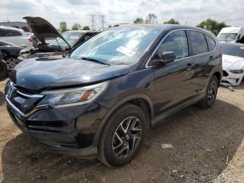  Salvage Honda Crv