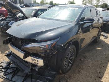  Salvage Lexus NX