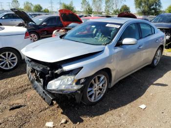  Salvage Nissan Maxima