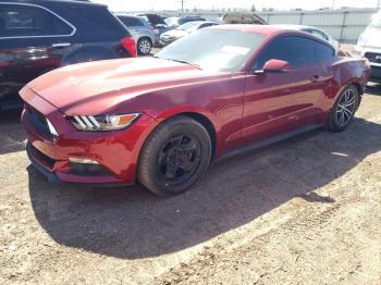  Salvage Ford Mustang