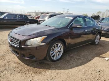  Salvage Nissan Maxima