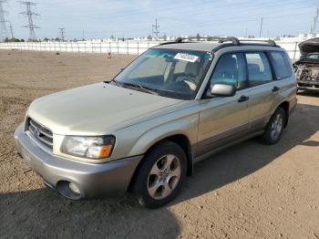  Salvage Subaru Forester