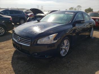  Salvage Nissan Maxima