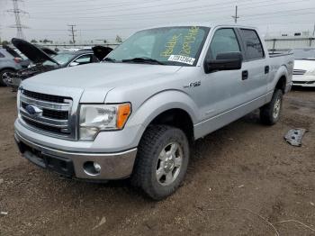  Salvage Ford F-150