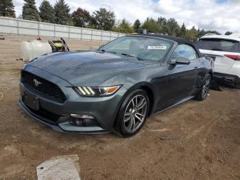  Salvage Ford Mustang