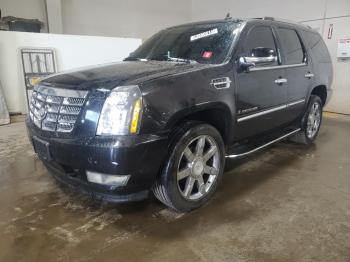  Salvage Cadillac Escalade