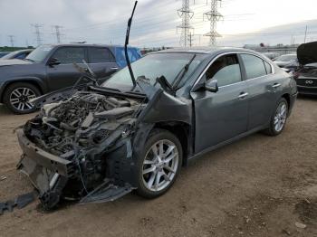  Salvage Nissan Maxima