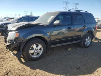  Salvage Ford Escape