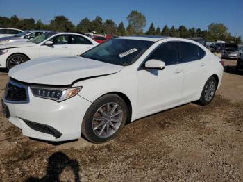  Salvage Acura TLX