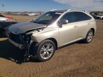  Salvage Lexus RX