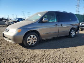  Salvage Honda Odyssey