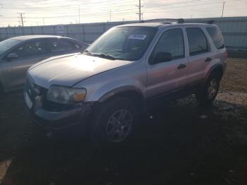  Salvage Ford Escape