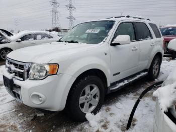  Salvage Ford Escape