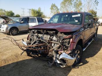  Salvage Ford F-250