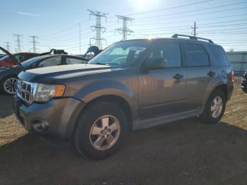  Salvage Ford Escape