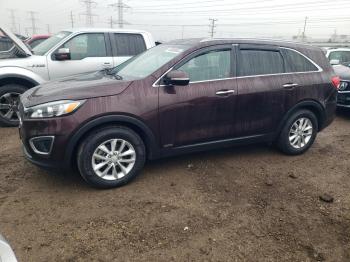  Salvage Kia Sorento