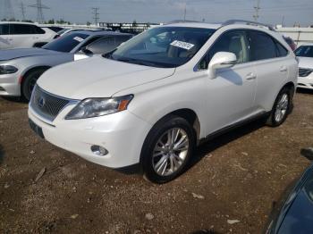  Salvage Lexus RX