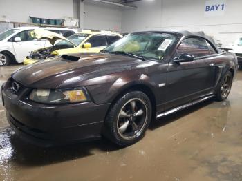  Salvage Ford Mustang