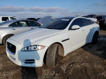  Salvage Jaguar XJ