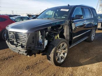  Salvage Cadillac Escalade