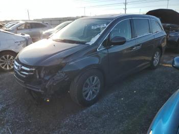  Salvage Honda Odyssey