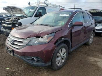  Salvage Honda Crv