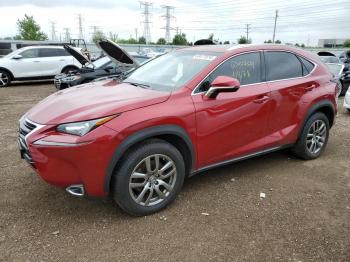  Salvage Lexus NX