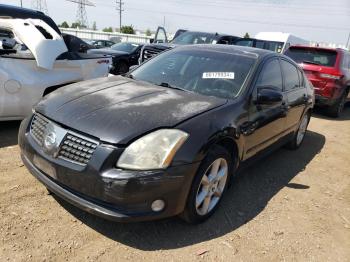  Salvage Nissan Maxima