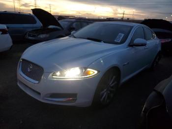  Salvage Jaguar XF