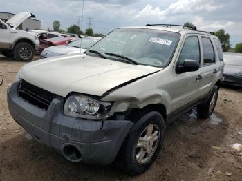  Salvage Ford Escape