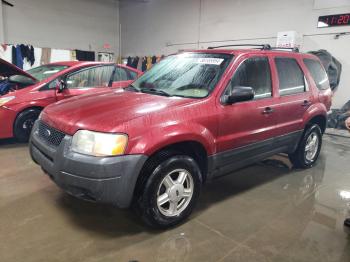  Salvage Ford Escape