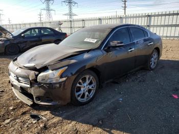  Salvage Nissan Maxima