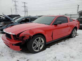  Salvage Ford Mustang