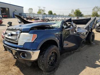  Salvage Ford F-150