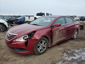  Salvage Hyundai SONATA