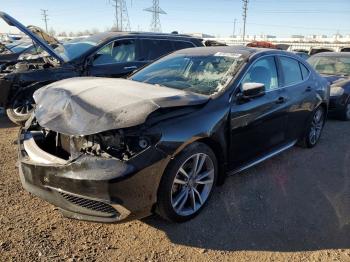  Salvage Acura TLX