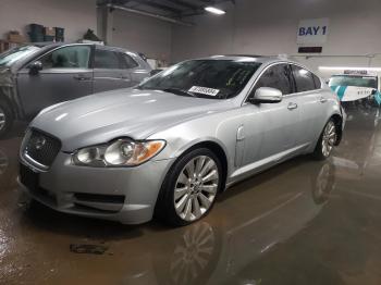  Salvage Jaguar XF