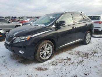  Salvage Lexus RX