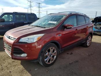  Salvage Ford Escape