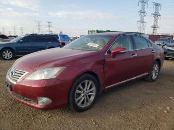  Salvage Lexus Es