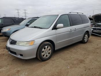  Salvage Honda Odyssey