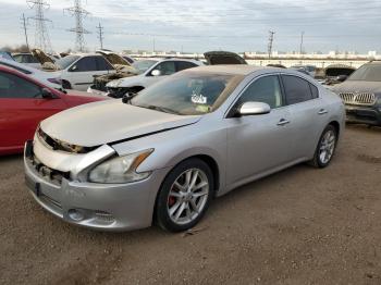  Salvage Nissan Maxima