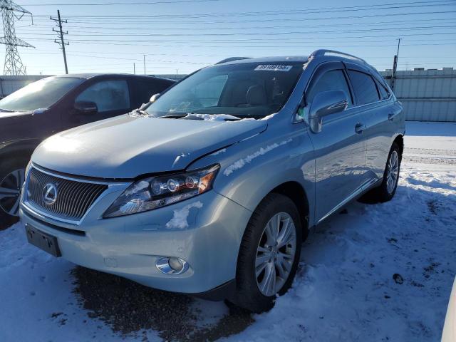  Salvage Lexus RX