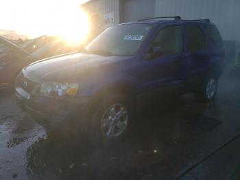  Salvage Ford Escape