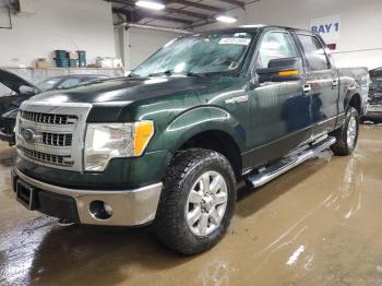  Salvage Ford F-150