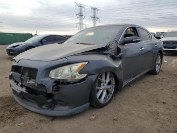  Salvage Nissan Maxima