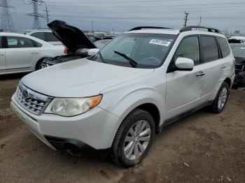  Salvage Subaru Forester