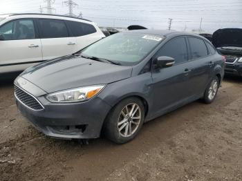  Salvage Ford Focus