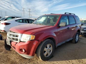  Salvage Ford Escape